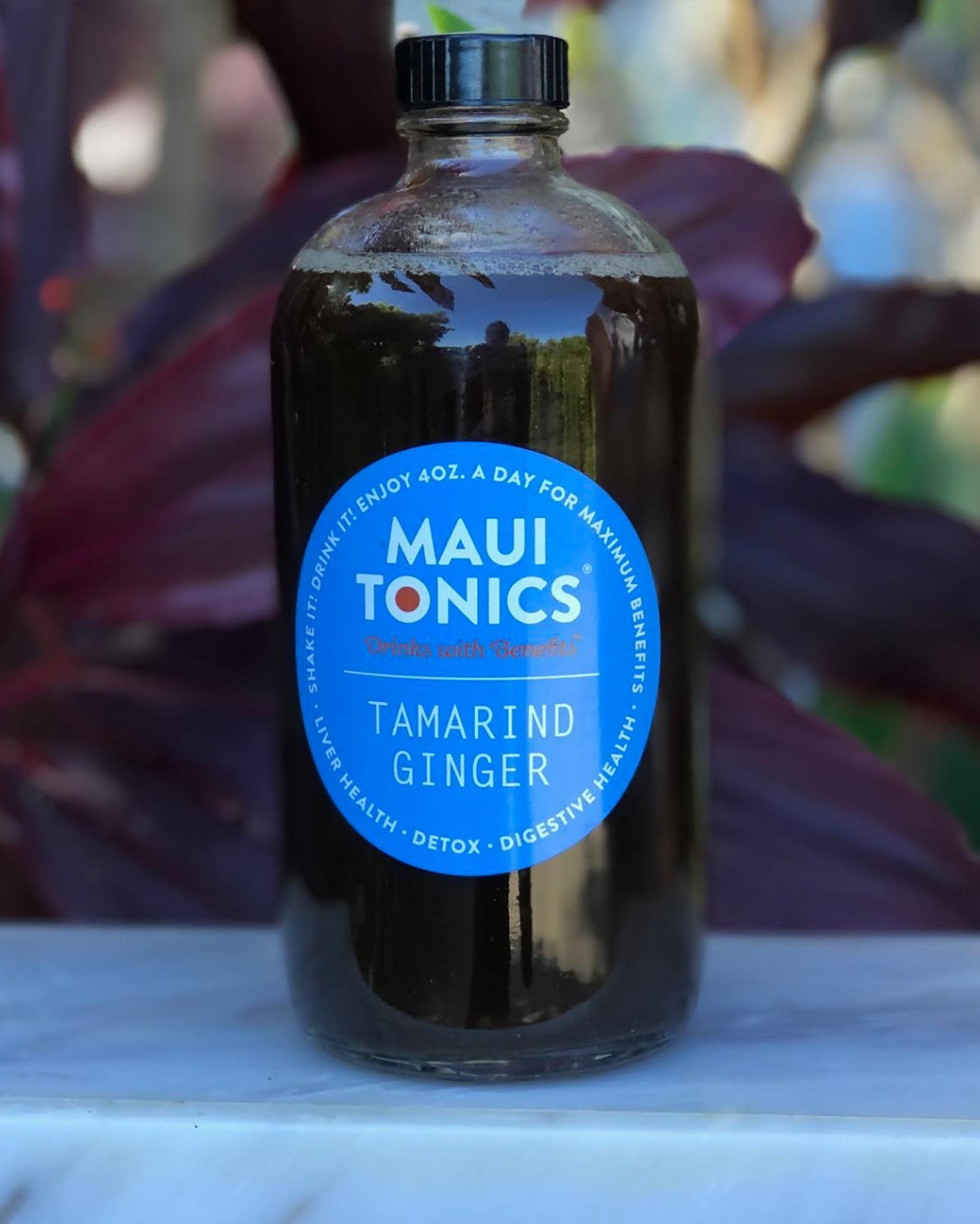 Tamarind Ginger Tonic 2-Pack (Nationwide/Inter-Island Shipping)